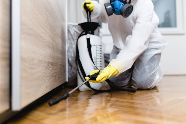 Best Pest Removal Services  in Cresaptown, MD