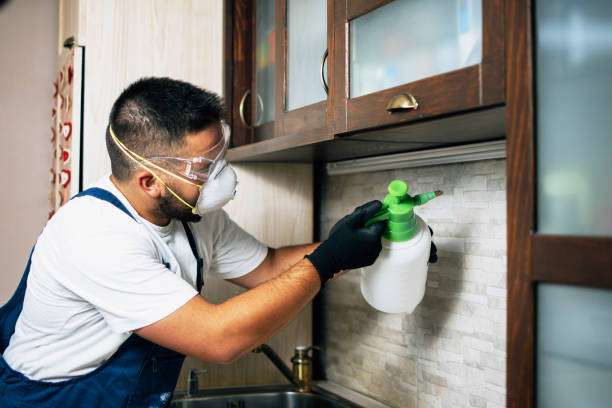 Best Residential Pest Control  in Cresaptown, MD