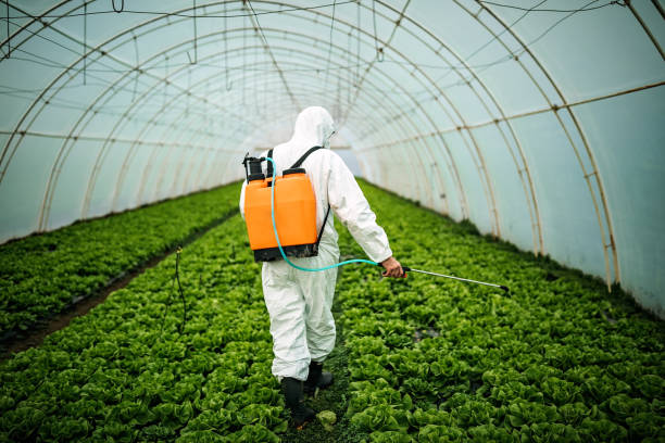 Best Pest Prevention Services  in Cresaptown, MD