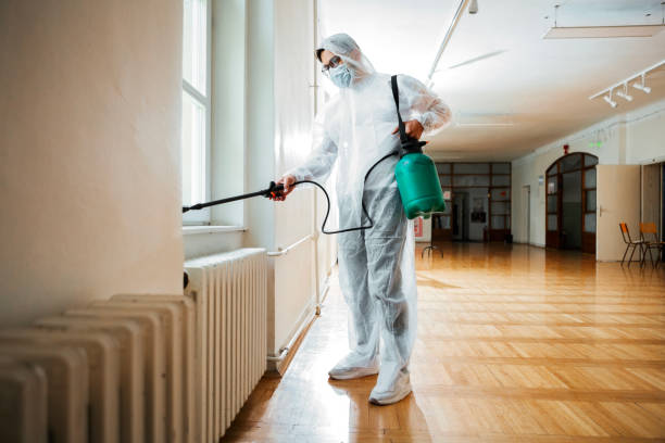 Best Pest Removal Services  in Cresaptown, MD