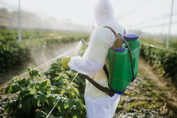 Reliable Cresaptown, MD Pest Control Solutions